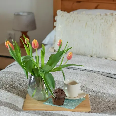 Beautiful House With A Garden For 6 People In Budzistowo By Renters * كولوبرزيغ