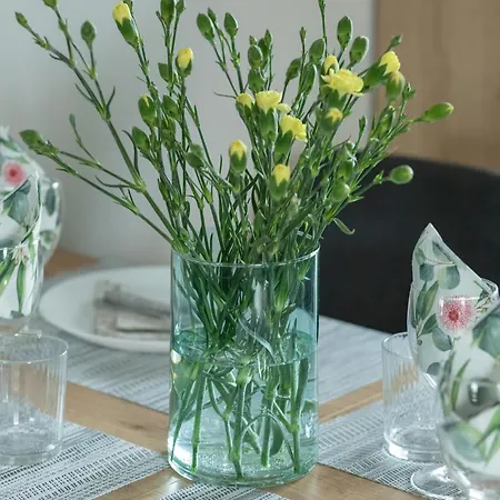 Beautiful House With A Garden For 6 People In Budzistowo By Renters * كولوبرزيغ